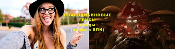 крисы Алексин